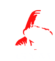 Box-Fit Gym Rožnov pod Radhoštěm